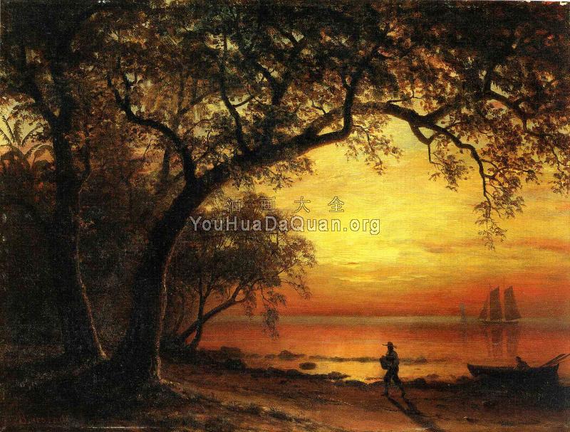 Island of New Providence - 阿尔伯特·比尔施塔特